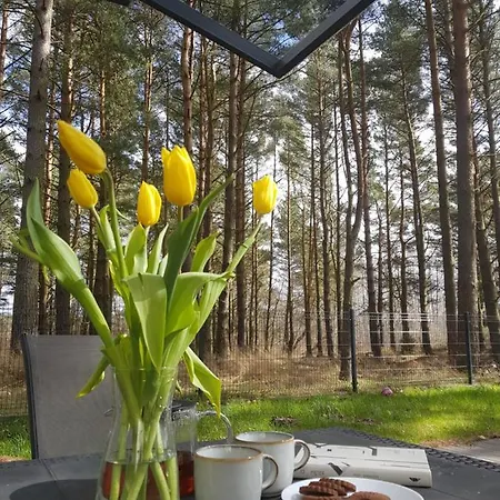 Morzelasu Jastrzebia Gora