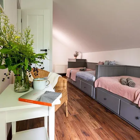 Morzelasu Jastrzebia Gora *