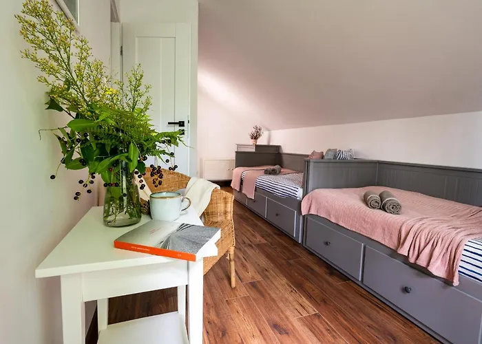 Morzelasu Jastrzebia Gora *